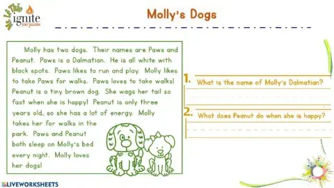 Reading - Grade 3 - R1