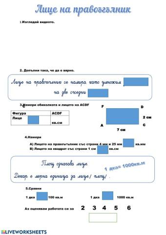 Лице на правоъгълник-вариант 3