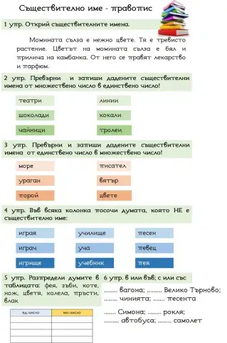 Правопис на съществителните имена