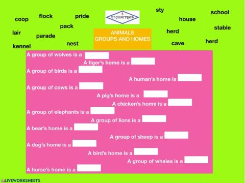 Animals' groups and homes