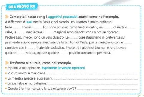 Aggettivi possessivi