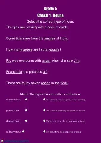 Grade 5 Nouns