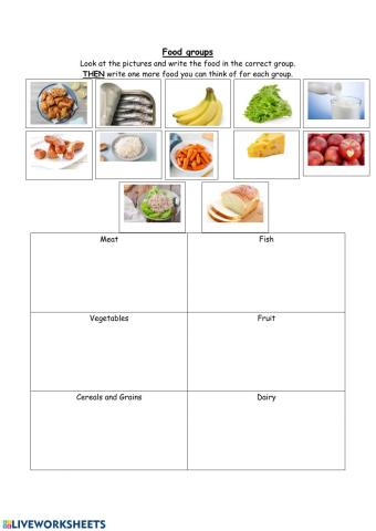 Food groups (meat, fish, cereal and grains, vegetables, fruit, dairy)