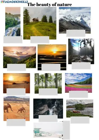 The beauty of nature