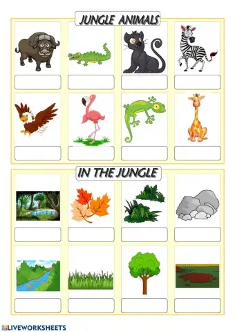 Jungle vocabulary