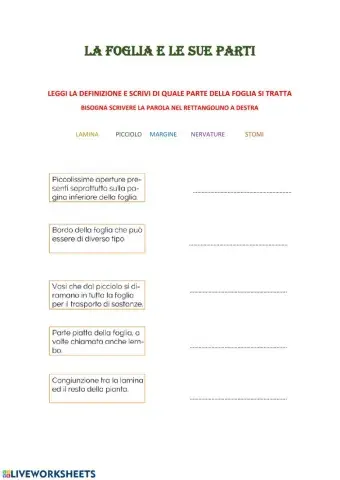 La foglia e le sue parti