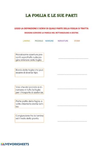 La foglia e le sue parti