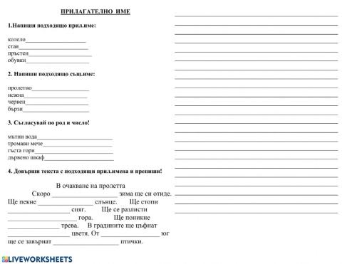 Прилагателно име