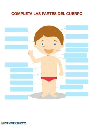 Partes del cuerpo