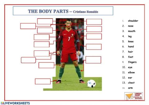 Body parts - CR7