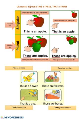 Ukazovací zájmena this, these, that, those
