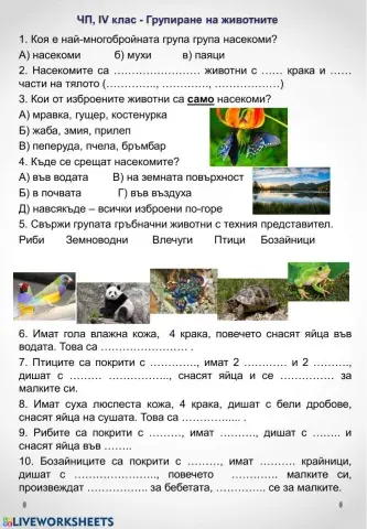 Групиране на животните, IV клас