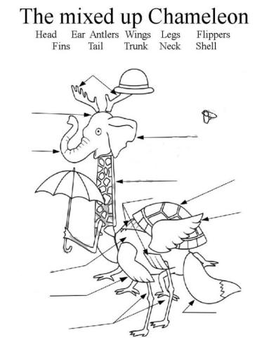 The mixed up chamaleon