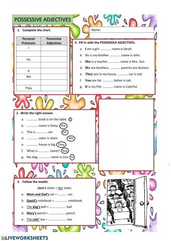 Possessive adjectives