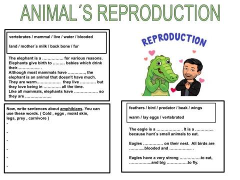 Reproduction of animals