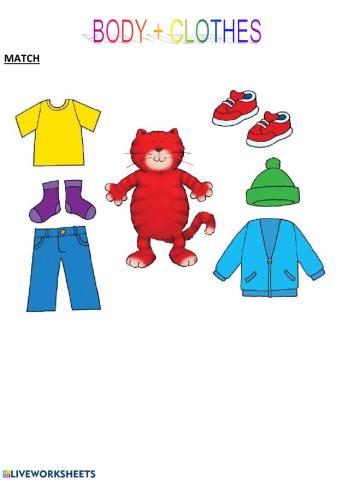 Clothes cookie and friends