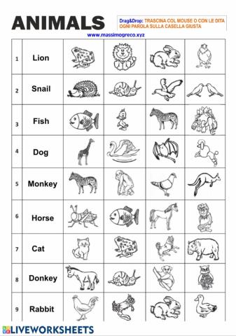 Drag and drop: animal names
