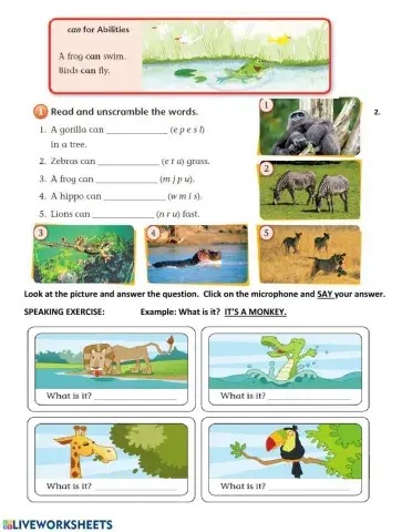 Activity 1. Writing and Speaking