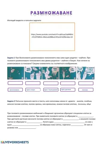 Размножаване