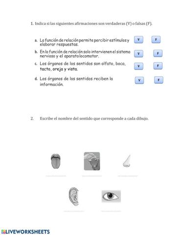 Función de relación