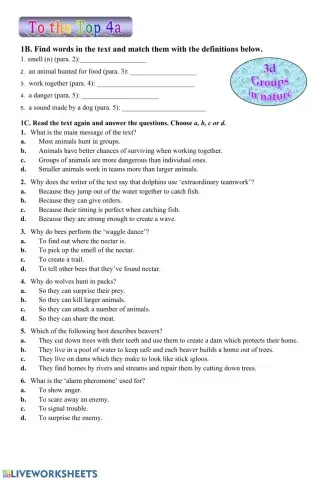 To the Top 4a Module 3