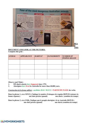 Dangerous Australian animals