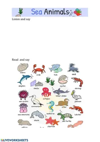 Sea Animals