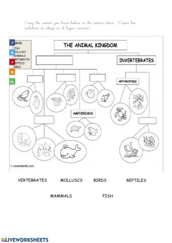 The animal kingdom