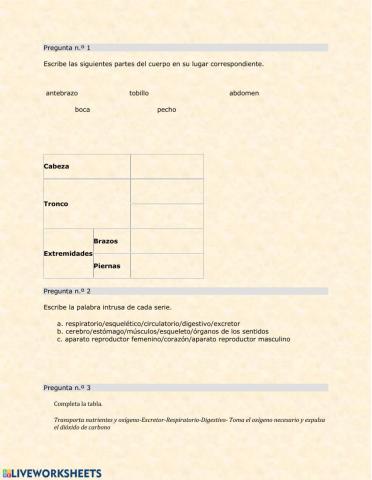 Las funciones vitales