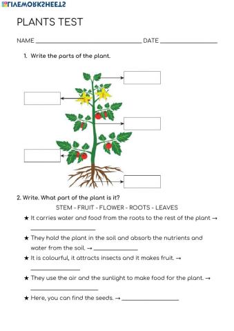 Plants-test