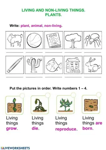 Living things and plants