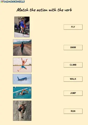 Match the action with the verb