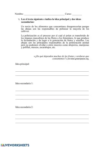 Ideas principal y secundarias