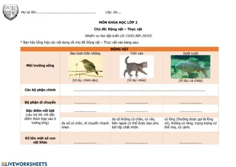 Động vật - Thực vật