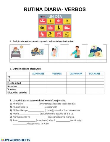Rutina diaria verbos