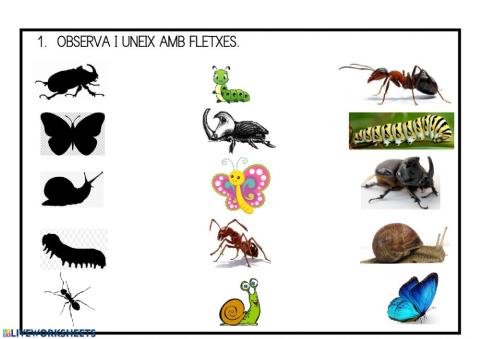 Juego siluetas animales