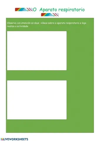 O aparato respiratorio