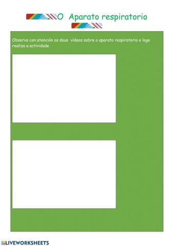 O aparato respiratorio