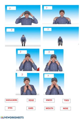 Head, Shoulders, Knees and Toes Match