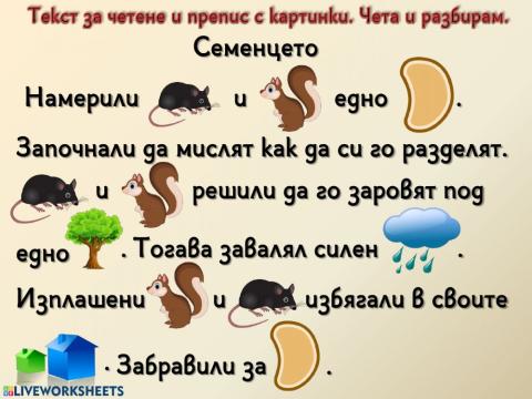 Четене с разбиране