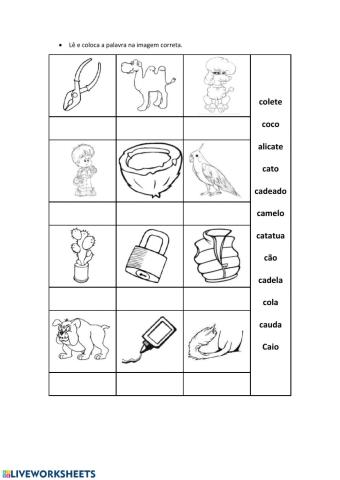 Coloca as palavras corretamente