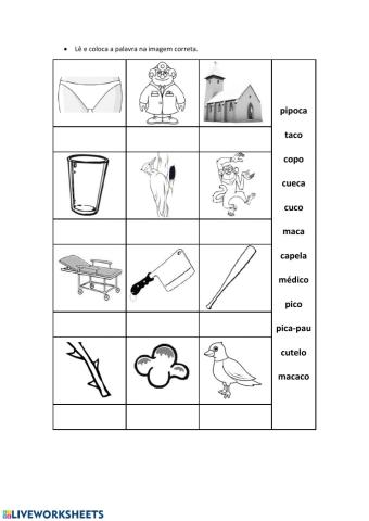 Coloca corretamente as palavras