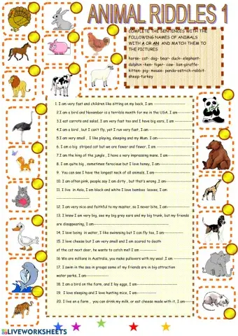 Animal riddles