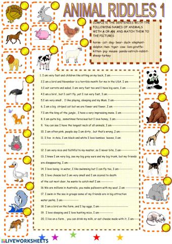 Animal riddles