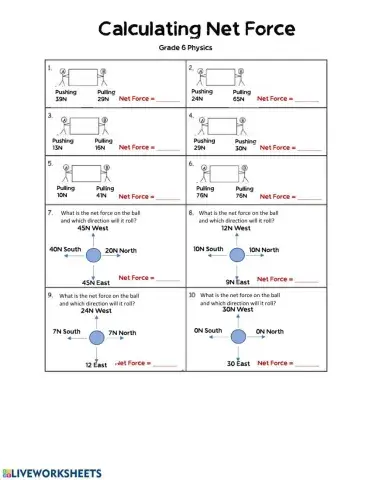 Calculating Net Force