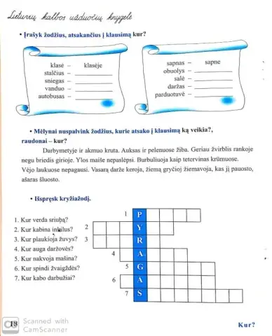 Žodžių atsakančių į klausimą kur rašyba?