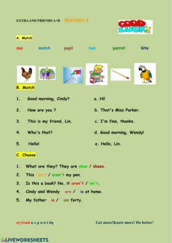 Extra and Friends Revision 1