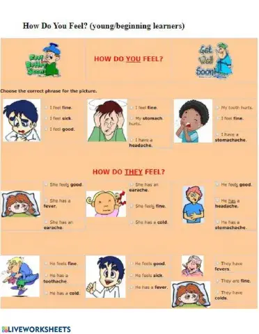 Health and illnesses