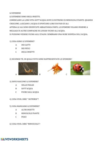 Comprensione le efemere