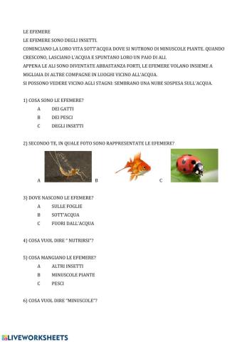 Comprensione le efemere